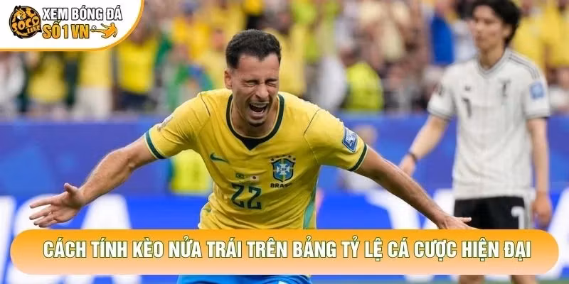 Cách Tính Kèo Nửa Trái Chuẩn Xác Cho Người Chơi Cược