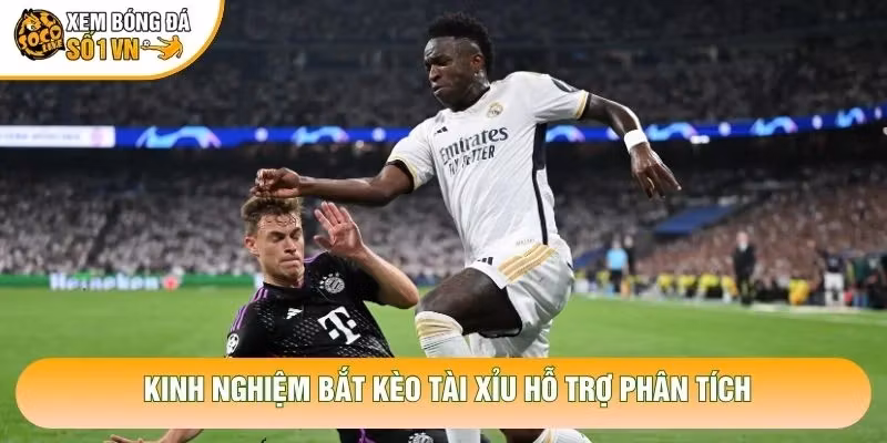 Kinh Nghiệm Bắt Kèo Tài Xỉu Chuẩn Xác Từ Chuyên Gia